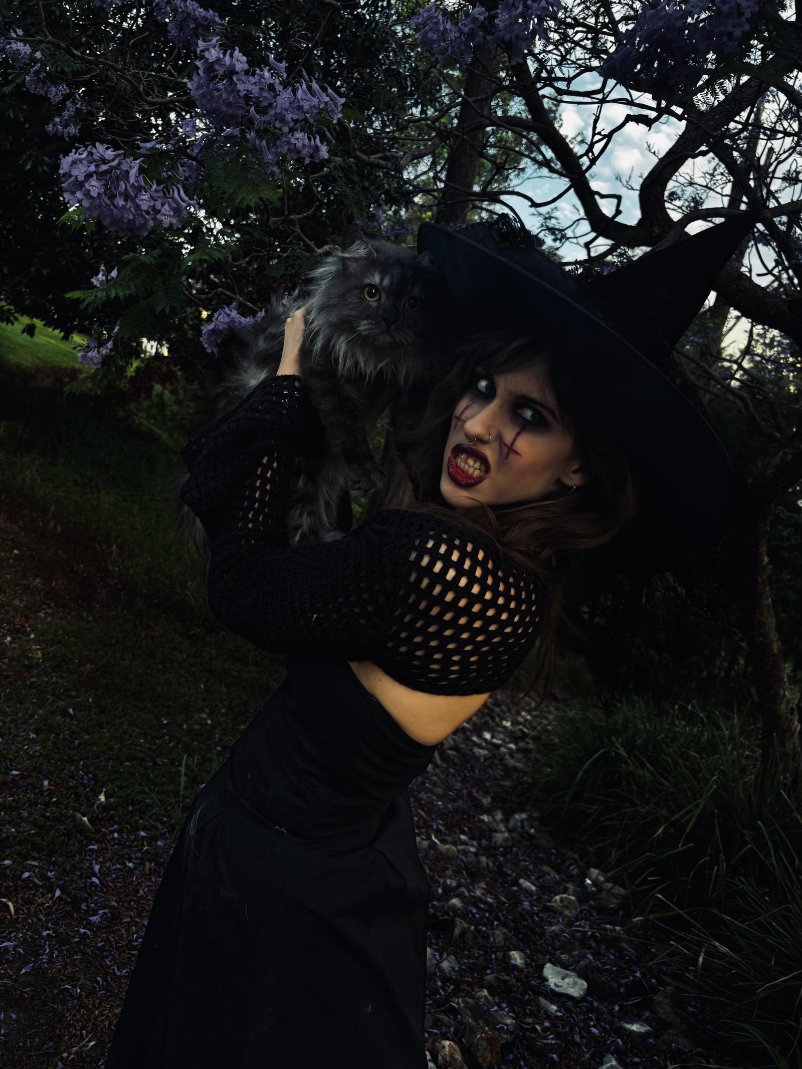 Makeup by Layla, a Sydney mobile makeup artist — photo 10